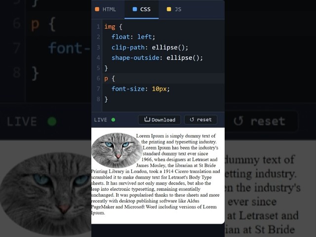 HTML Image Vertical Ellipse Dark #coding #htmltutorial #csstutorial