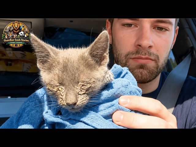 He Found a Kitten in the Desert — Now She's His Daughter