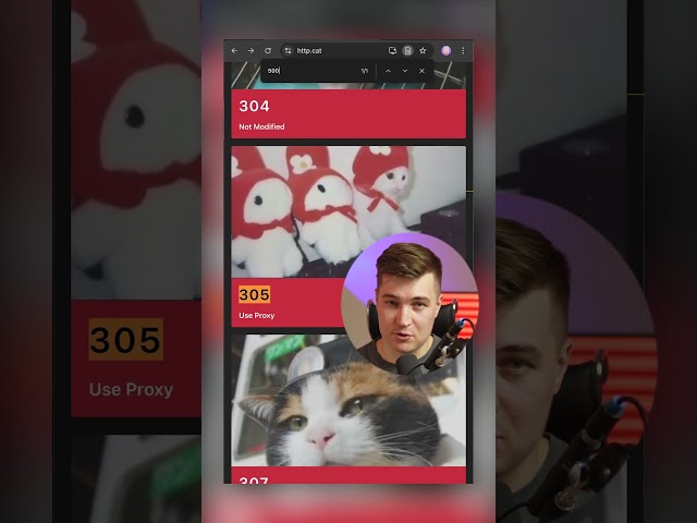 Выучи через мемы HTTP статус-коды! Справочник http.cat
