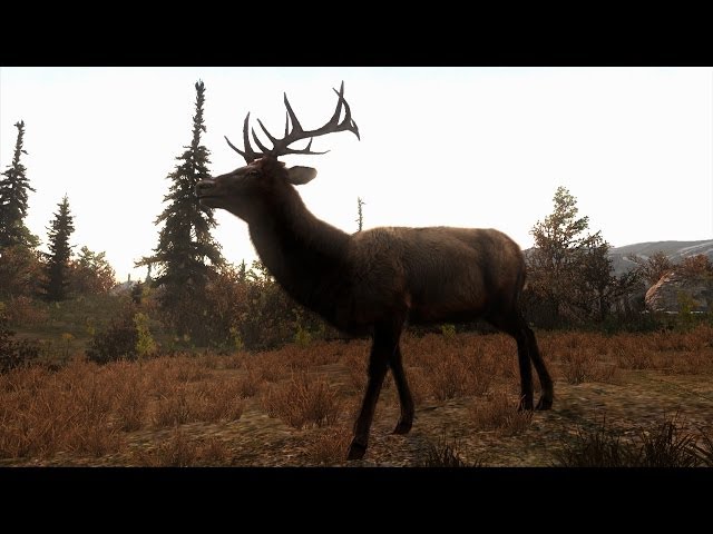 Cabela's Big Game Hunter Pro Hunts Release Trailer [UK]