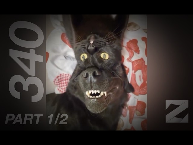 iZap4u – Zap 340 (Short Edit) Part 1/2
