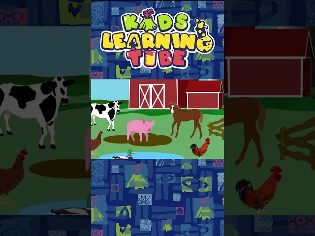 Learn About These Farm Animal Sounds! | KLT