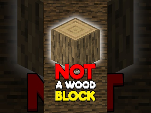 You Are WRONG ABOUT Minecraft