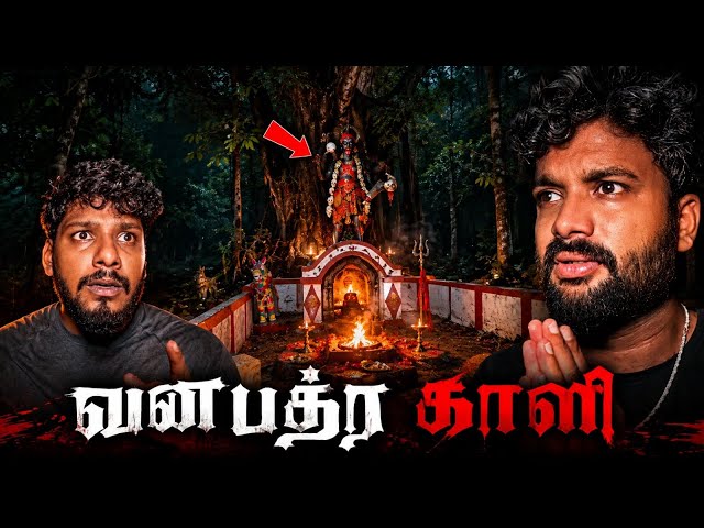 காட்டின் நடுவே ஒரு மர்ம கோவில்…