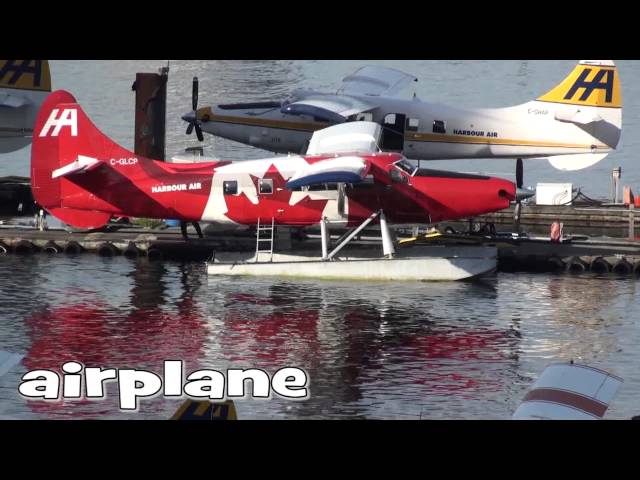 Canada - Moose Tours