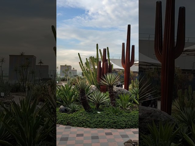 Cactus Garden at Singapore Airport #shorts #changiairport #travel #layover #singapore