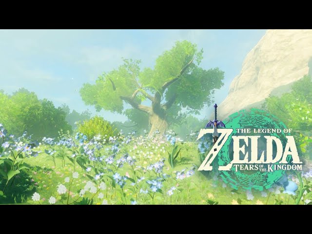 🌼 Flowering Hill by Rutile Lake｜Sleep & Study Ambience｜Zelda Tears of the Kingdom｜Relaxing BGM