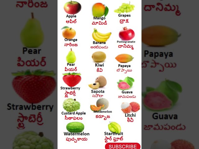 Fruits Name In English And Telugu//పండ్ల పేరు ఇంగ్లీషు మరియు తెలుగులో