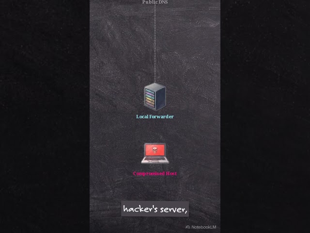 Why Internet First DNS Leaks Data3 #chatgpt #openwindows #cybersecurity