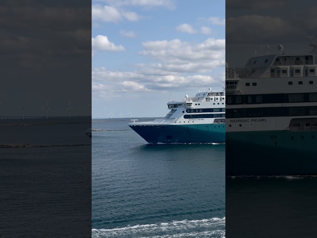 Nordic Pearl || Go Nordic Cruiseline