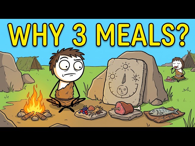 Who Decided Humans Should Eat 3 Meals a Day?