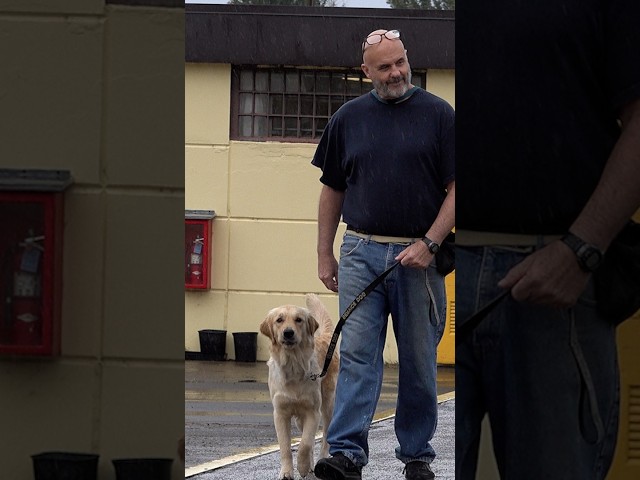 Who is Joys of Living Assistance Dogs?