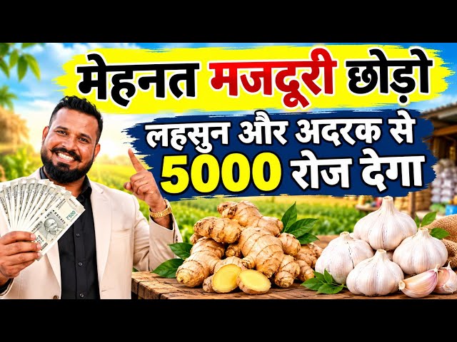 मेहनत मजदूरी  छोड़ो लहसुन और अदरक से यह बिजनेस करो 