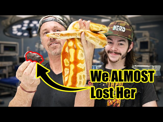 Dirty Jobs - SAVING This Python’s Life!