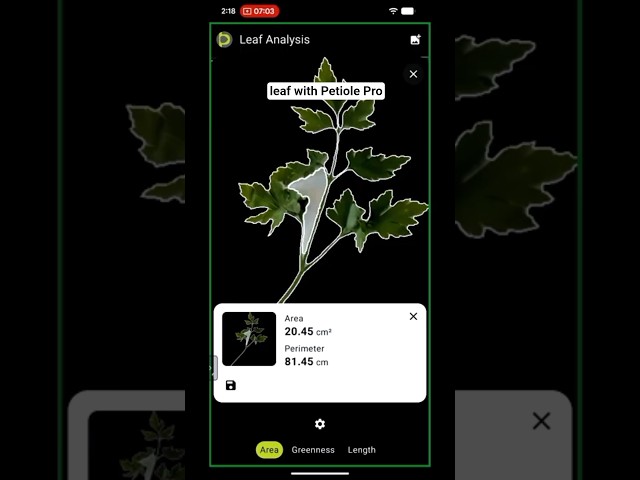 leaf area measurement in 14 seconds 🤩