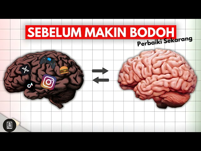 7 Cara Ilmiah Memperbaiki Otak lu Sebelum SEMAKIN BODOH.