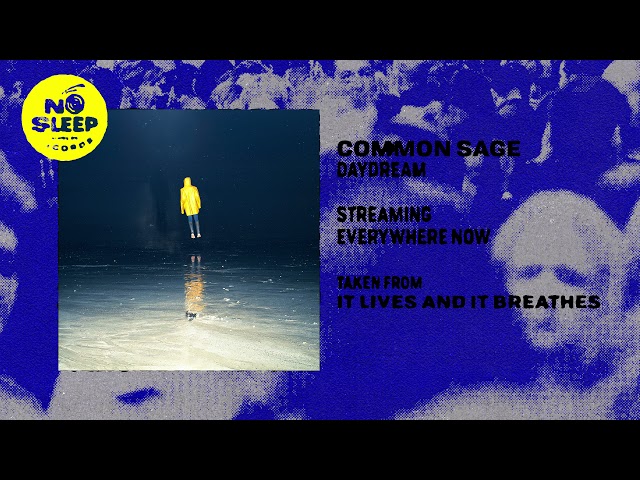 common sage - daydream