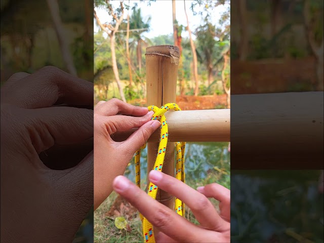 Master This Simple Knot! #knot #rope #bushcraft #diy #tutorial
