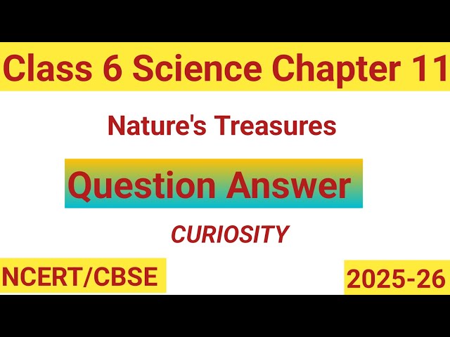 Class 6 Science Chapter 11 | Nature's Treasures |Question Answer |Curiosity Class 6