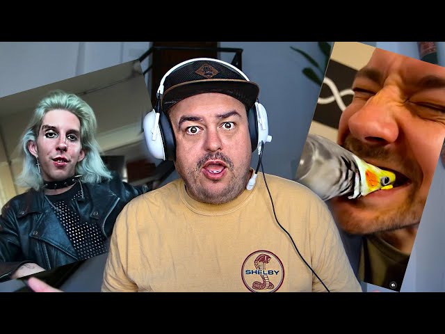 Daz Watches Don’t Laugh Or Flinch