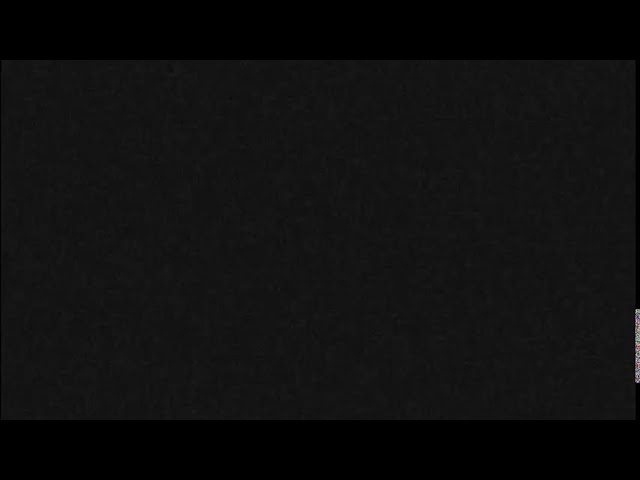 Falcon Cam - Hibbard 2