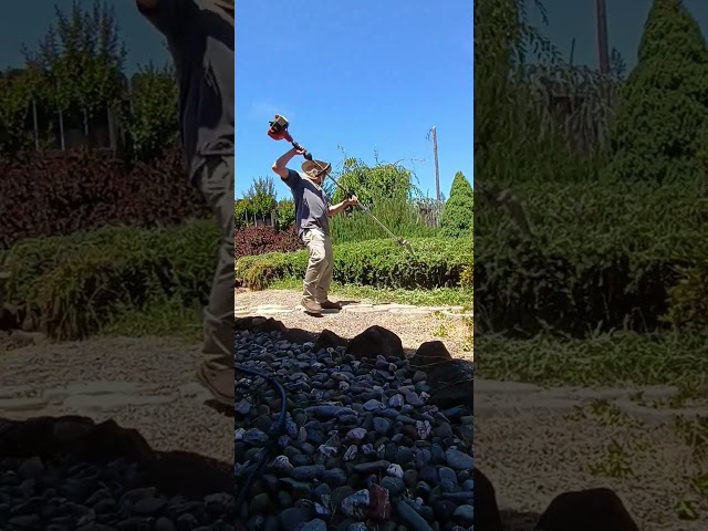 Just another Day in the office! #hedges #landscaping #hardwork  #everday