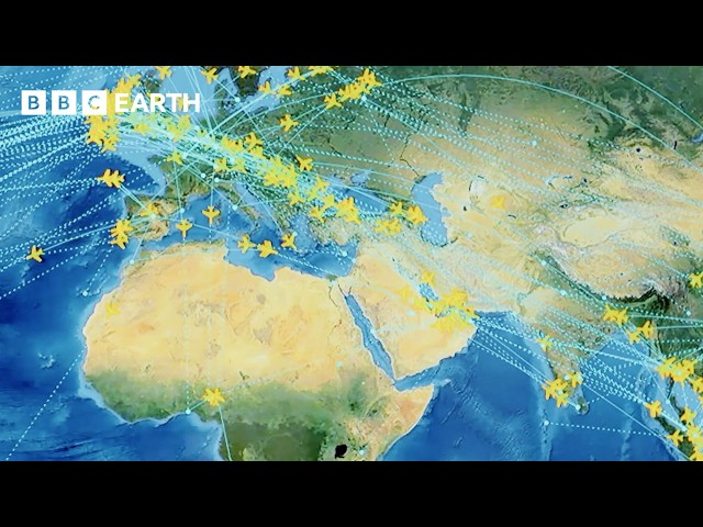 From Takeoff To Landing: The Fascinating World Of Aviation | BBC Earth Science