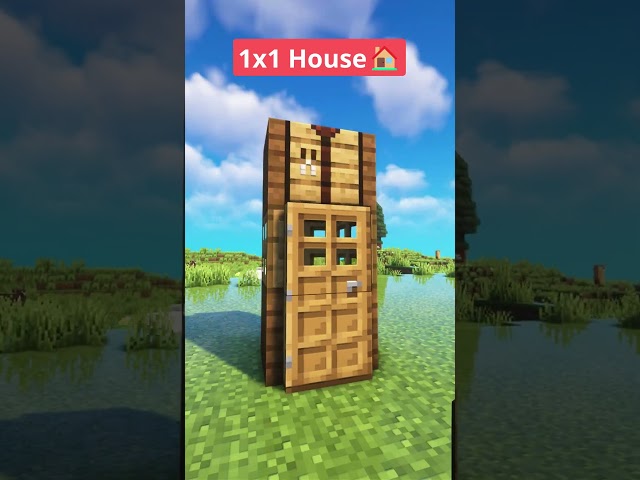Minecraft 1X1 House🏠 #shorts