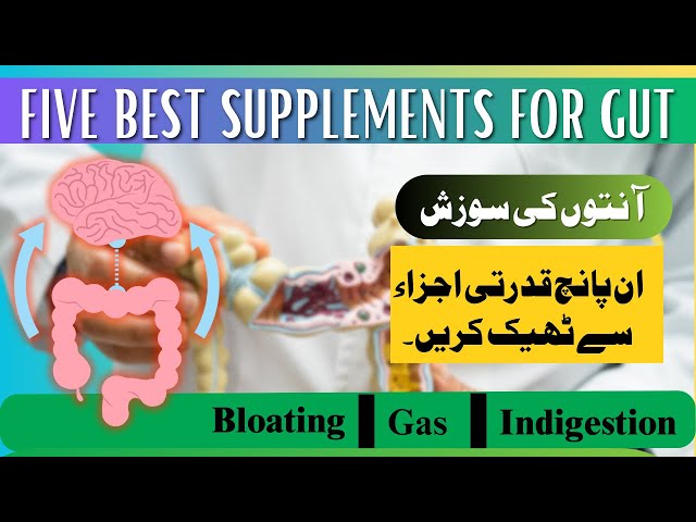 From Sick to Strong: The Power of Gut Health | 5 Supplements