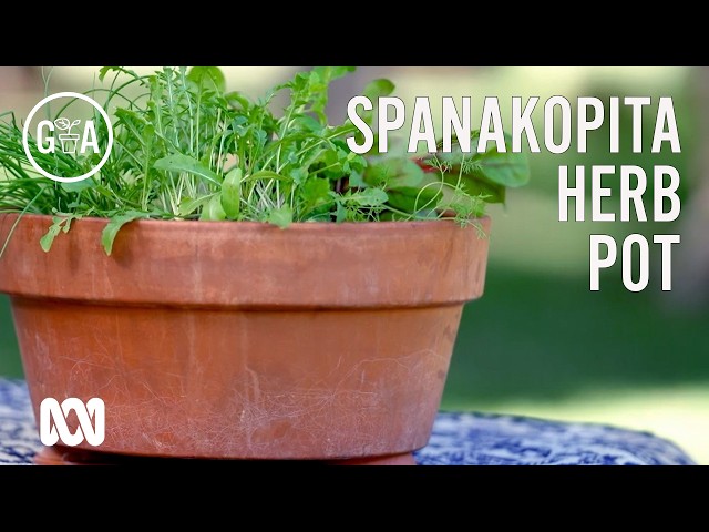 Costa's Pick & Bake Spanakopita Pot | Fresh Greens for Easy Home-Cooked Meals  | Gardening Australia