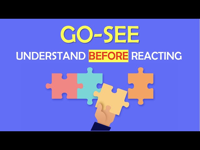 GO SEE // Understand before Action