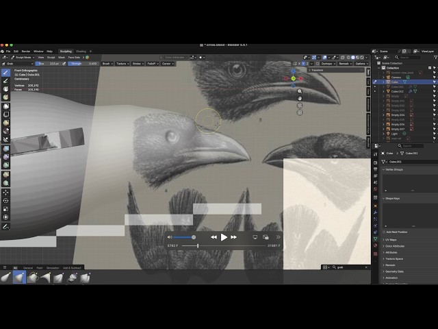 Sculpting a Carrion Crow in Blender. Part 1: Analysis & Base Mesh