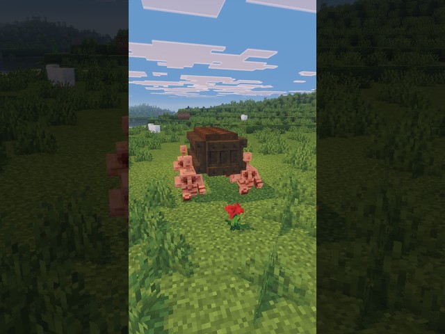 Minecraft Copper Golem Coffin Dance ⚰️ #minecraft #minecraftshorts #minecraftbuilding #mcpe #shorts