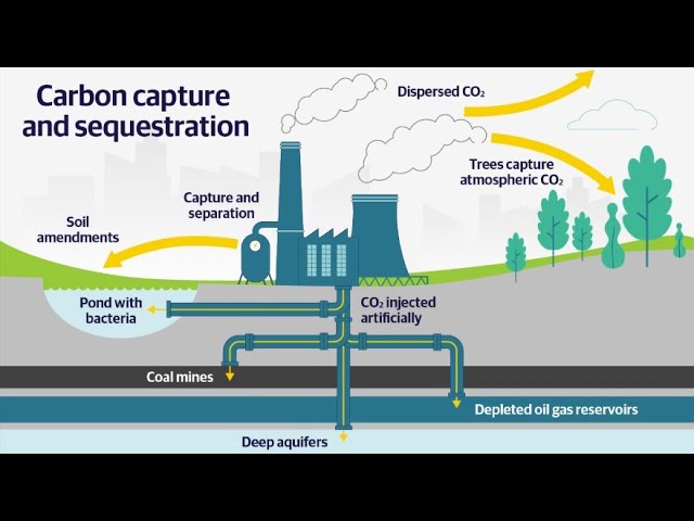 Carbon Sequestration Methodothologies