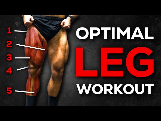 The Best LEG DAY for MUSCLE GROWTH (According to Science)