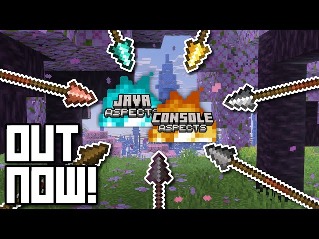 Beautiful, PERFECT Spears - Java and Console Aspects 6.5.0 (Better First-Person Animations & More!)