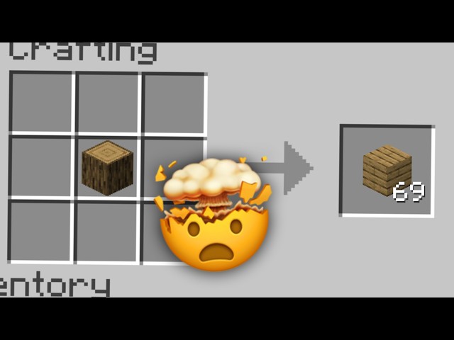 Minecraft but Every Number is Random