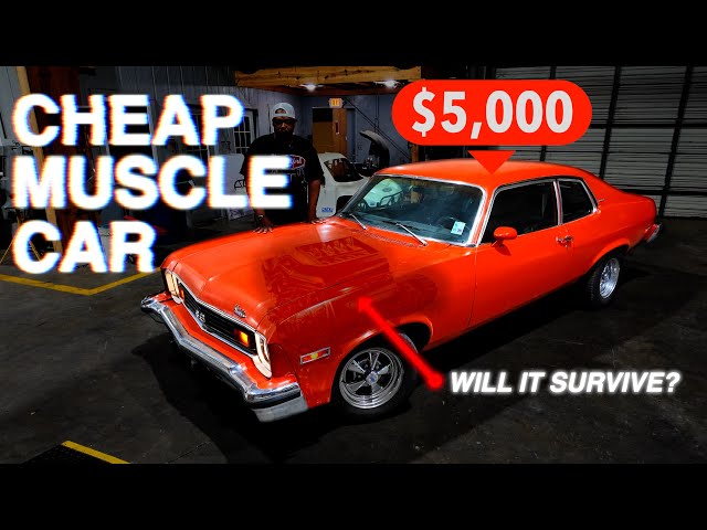 Can The $5K Muscle Car Survive? Nova Build Ep.1