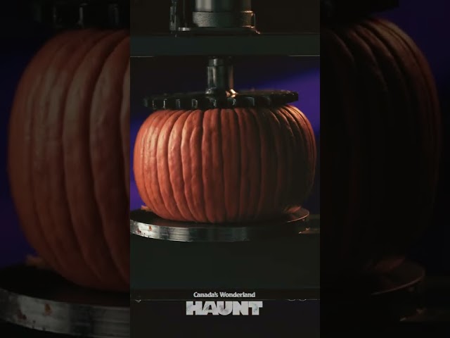 Oddly Terrifying - Halloween Haunt - Pumpkin