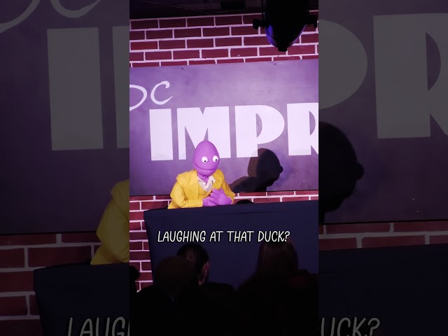 Baby Chickens | Randy Feltface Comedy
