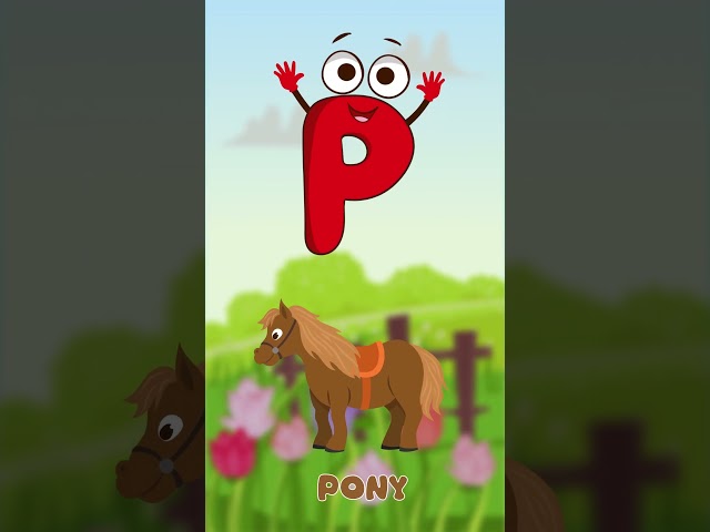 Alphabet Letter P | ABC Phonics Song