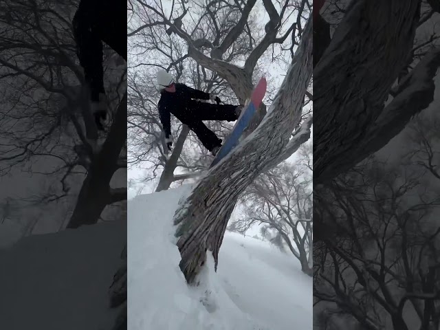 Austin Vizz with an all natural hit in one of #SaltLakeCity’s finest parks. #snowboarding