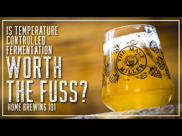 TEMPERATURE CONTROLLED FERMENTATION - IS IT WORTH THE FUSS? | THE MALT MILLER HOME BREWING CHANNEL