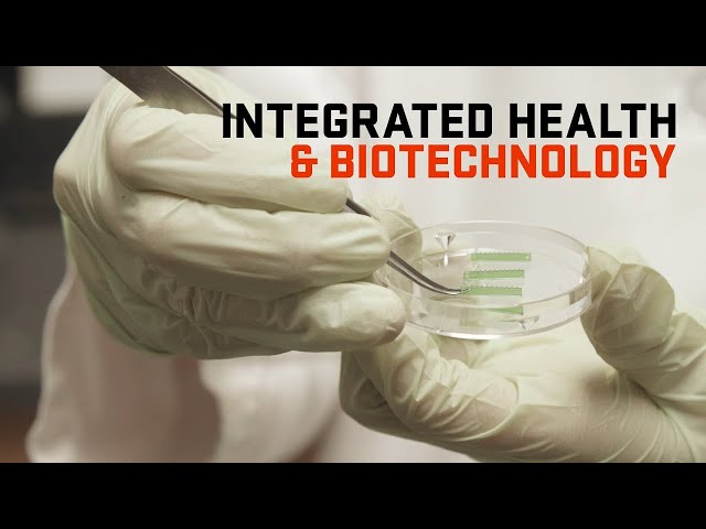 Creating a Healthier World