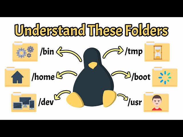 Linux File System Structure Explained: From / to /usr | Linux Basics