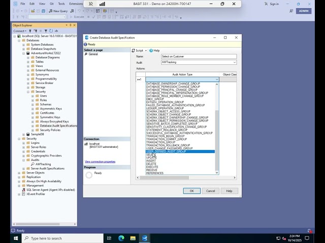 Auditing SQL Server activity