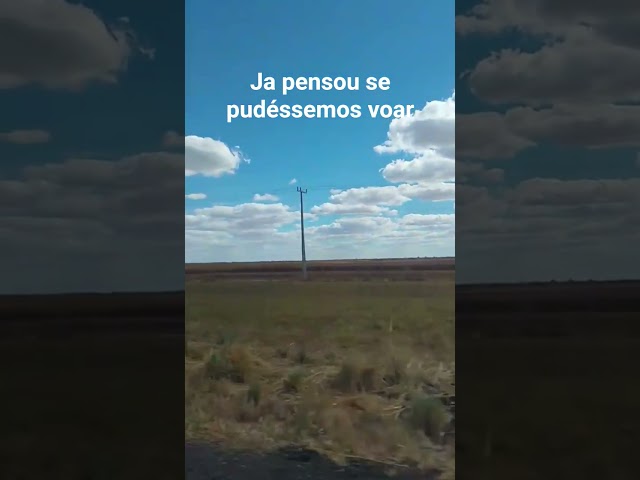 #videoviral #céu