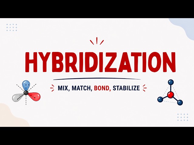 The Truth about Hybridization: A Visual Guide