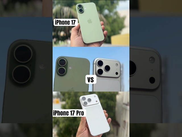 iPhone 17 vs 17 Pro camera📸 || Which iPhone to buy for camera?