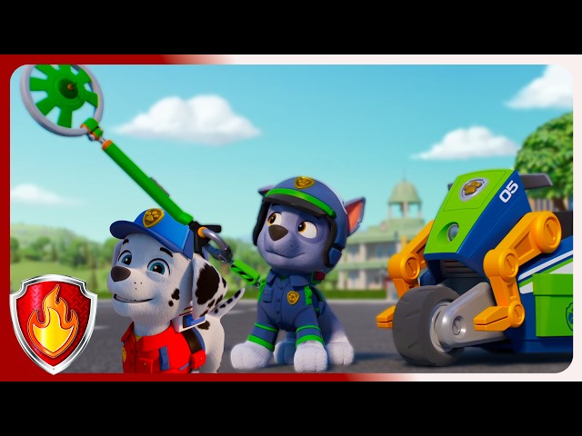 Metal Detector! | Marshall PAW Patrol  | Cartoons For Kids